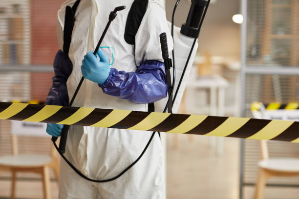 Professional Hoarding Cleanup technician working in Taft, FL